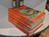 Stripboeken suske en wiske - afbeelding 1 van  1