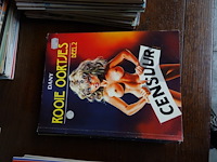 Stripverhalen voor volwassenen - afbeelding 9 van  10