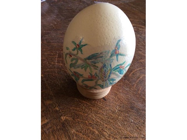 Struisvogelei ? - afbeelding 1 van  2