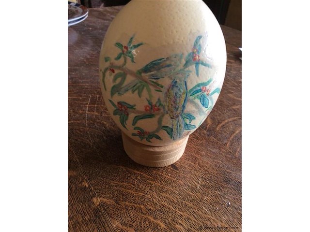 Struisvogelei ? - afbeelding 2 van  2