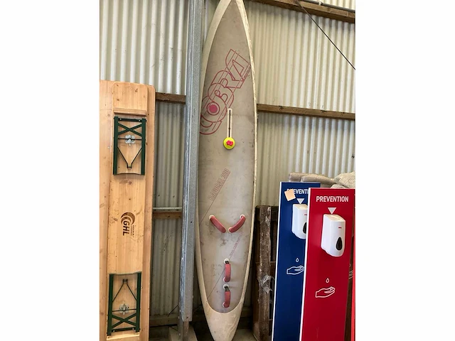 Surfplank en cobra-windsurfplank met zeil - afbeelding 14 van  16