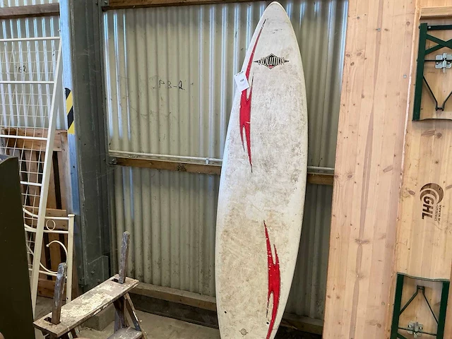 Surfplank en cobra-windsurfplank met zeil - afbeelding 1 van  16