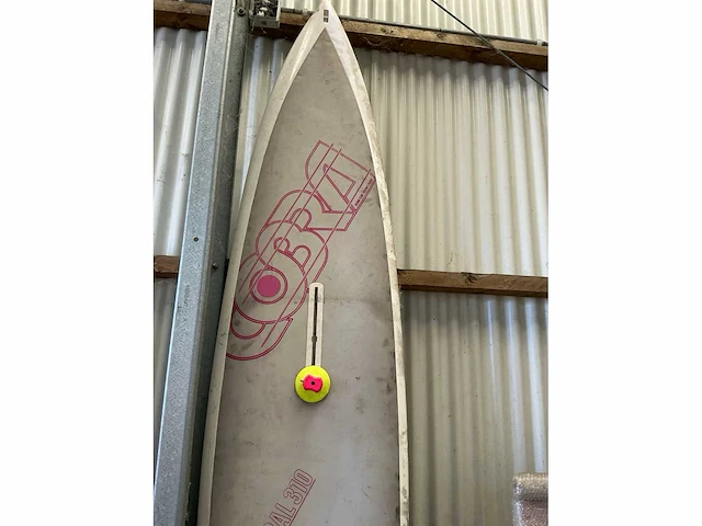 Surfplank en cobra-windsurfplank met zeil - afbeelding 12 van  16