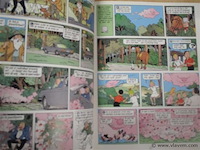 Suske en wiske - afbeelding 3 van  3