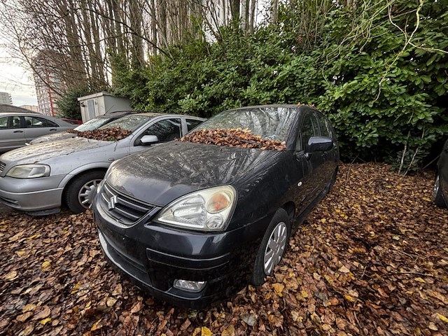 Suziki liana, 2005 - afbeelding 1 van  8