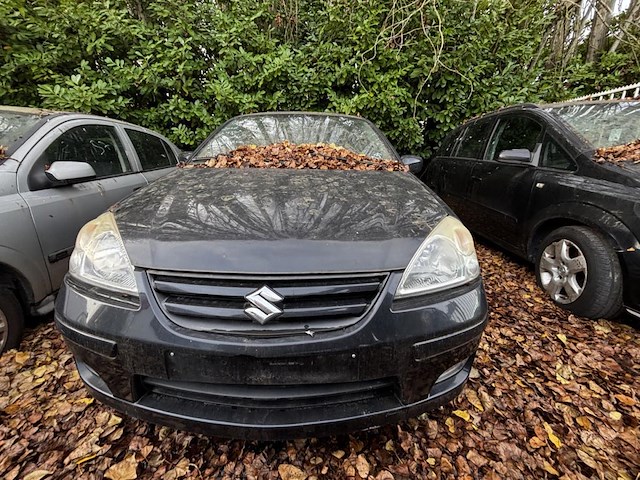 Suziki liana, 2005 - afbeelding 2 van  8