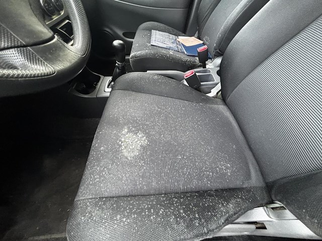 Suziki liana, 2005 - afbeelding 6 van  8