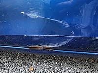 Suziki splash, 2008 - afbeelding 20 van  27