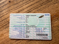 Suzuki - swift - 1.3 exclusive - car - 2009 - afbeelding 8 van  16