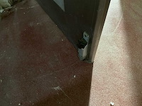 Swingdeur -rvs omkasting (2x) - afbeelding 4 van  10