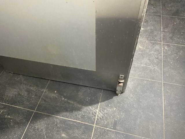 Swingdeur -rvs omkasting (2x) - afbeelding 8 van  10