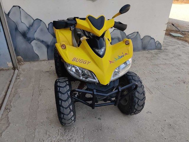 Sym - trackrunner - quad - afbeelding 4 van  17