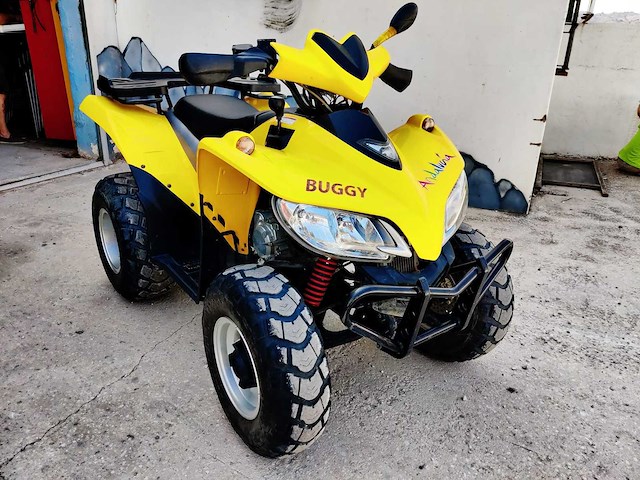 Sym - trackrunner - quad - afbeelding 11 van  17