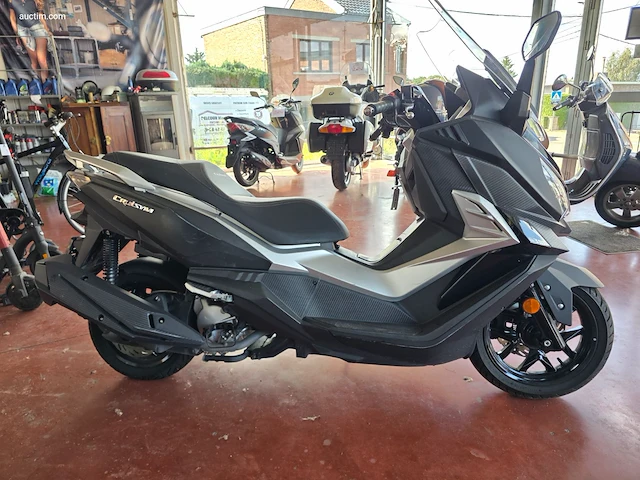 Sym 300 cruisym - afbeelding 6 van  13