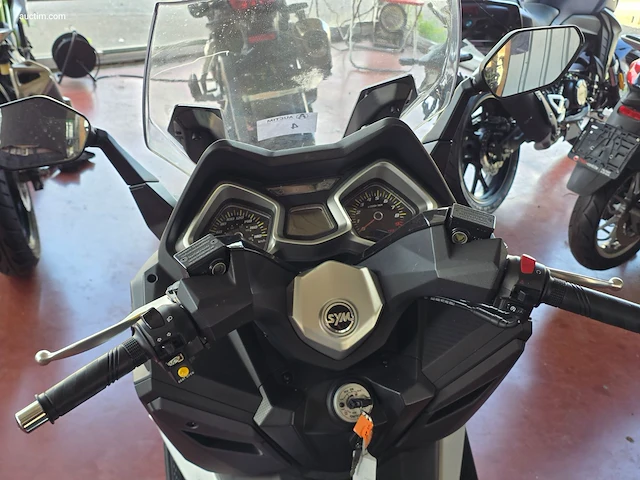 Sym 300 cruisym - afbeelding 9 van  13