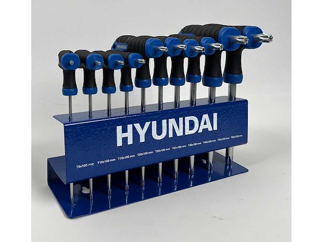 T-greep torx sleutelset (2x) - afbeelding 1 van  9