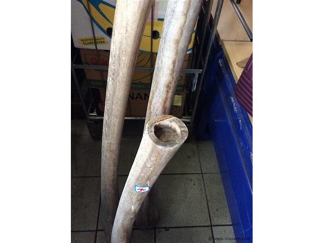 T-lichthouders hout 3stuks - afbeelding 2 van  2