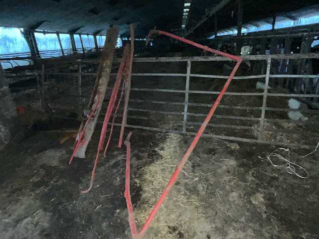 Taarup 1030 laadwagen - afbeelding 18 van  26