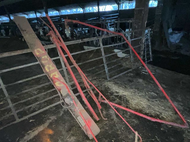 Taarup 1030 laadwagen - afbeelding 19 van  26