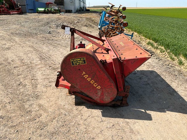 Taarup loofklapper - afbeelding 2 van  6