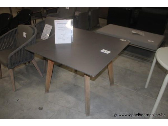 Tafel onderstel teak - blad hpl 100x100cm - afbeelding 1 van  1