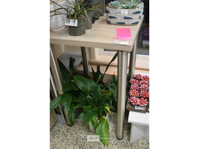 Tafel regelbare poten 60x60x90 cm - afbeelding 1 van  4