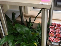 Tafel regelbare poten 60x60x90 cm - afbeelding 1 van  4