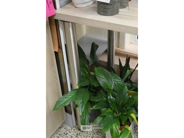 Tafel regelbare poten 60x60x90 cm - afbeelding 2 van  4