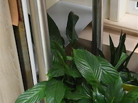 Tafel regelbare poten 60x60x90 cm - afbeelding 2 van  4