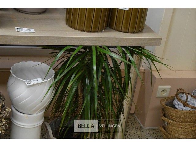 Tafel regelbare poten140x70x75 cm - afbeelding 2 van  4