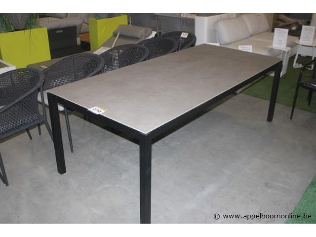 Tafelblad keramiek ash grey 220 x 100 - 6mm | juma tafelframe - afbeelding 1 van  1