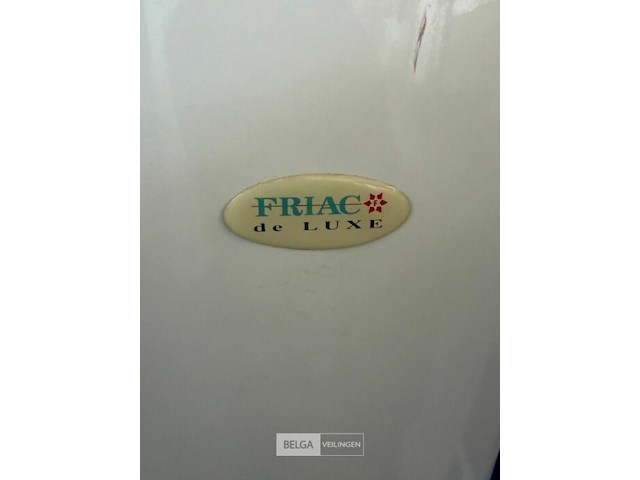 Tafeldiepvries friac - afbeelding 2 van  3