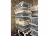 Tafelkleed - individueel pack - (+-50x) - afbeelding 8 van  13