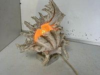 Tafellamp schelp - afbeelding 1 van  3