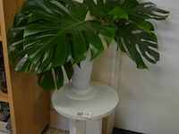 Tafeltje met plant bladeren - afbeelding 1 van  5