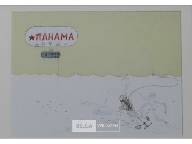 Tahama en duiker - afbeelding 1 van  2