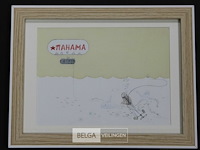 Tahama en duiker - afbeelding 2 van  2