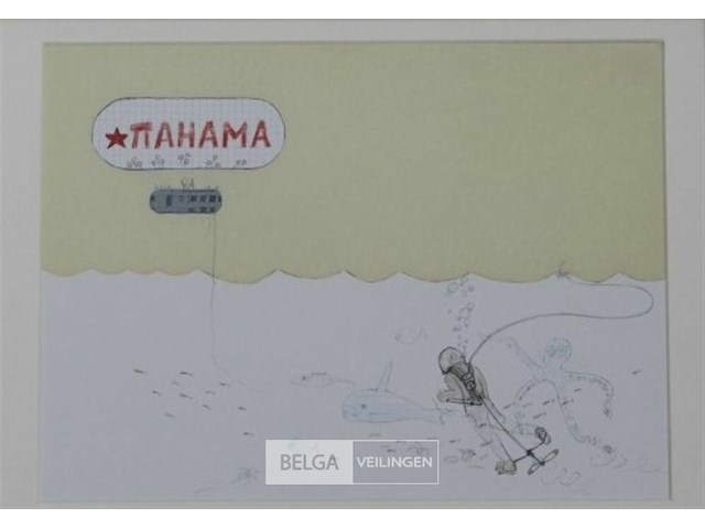 Tahama en duiker - afbeelding 1 van  2