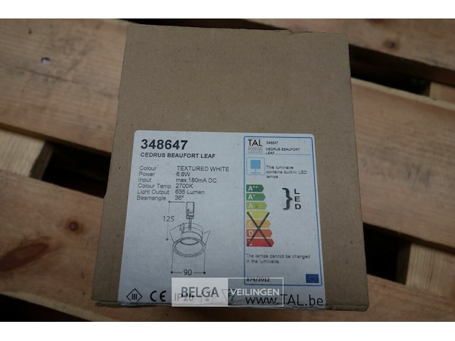 Tal 348647 cedrus beaufort leaf (6x) - afbeelding 2 van  5