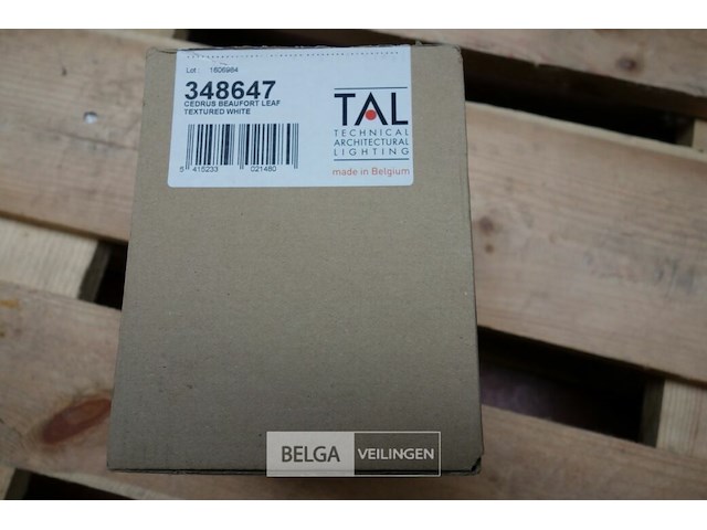 Tal 348647 cedrus beaufort leaf (6x) - afbeelding 3 van  5