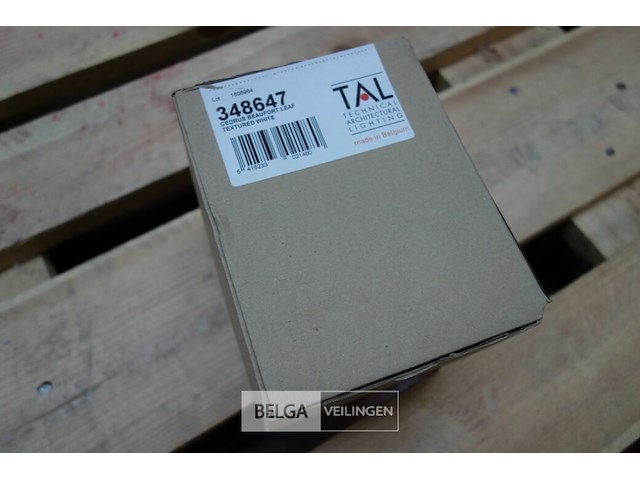 Tal 348647 cedrus beaufort leaf (6x) - afbeelding 2 van  3