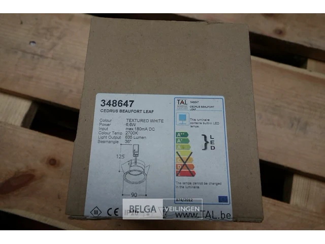Tal 348647 cedrus beaufort leaf (6x) - afbeelding 2 van  5