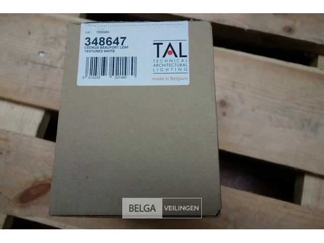 Tal 348647 cedrus beaufort leaf (6x) - afbeelding 3 van  5