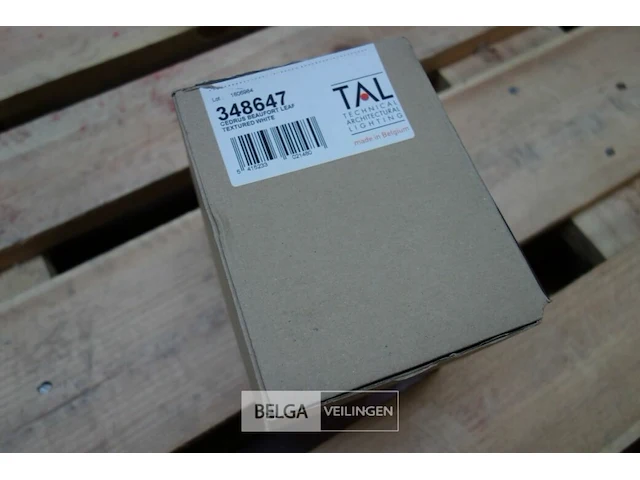 Tal 348647 cedrus beaufort leaf (6x) - afbeelding 2 van  3