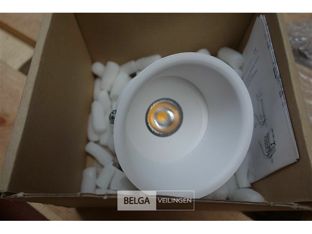 Tal 348647 cedrus beaufort leaf - afbeelding 1 van  5