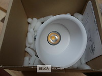 Tal 348647 cedrus beaufort leaf - afbeelding 1 van  5