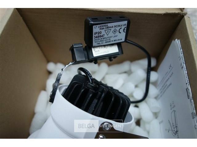 Tal 348647 cedrus beaufort leaf - afbeelding 4 van  5