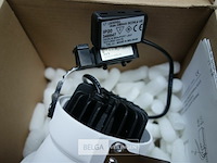 Tal 348647 cedrus beaufort leaf - afbeelding 4 van  5