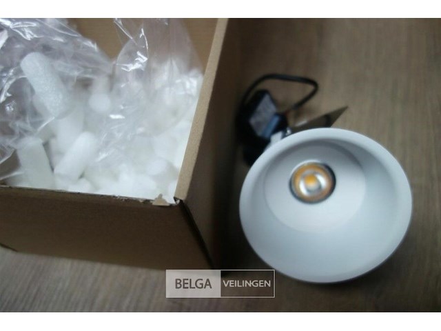 Tal 348647 cedrus beaufort leaf - afbeelding 5 van  5