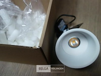 Tal 348647 cedrus beaufort leaf - afbeelding 5 van  5